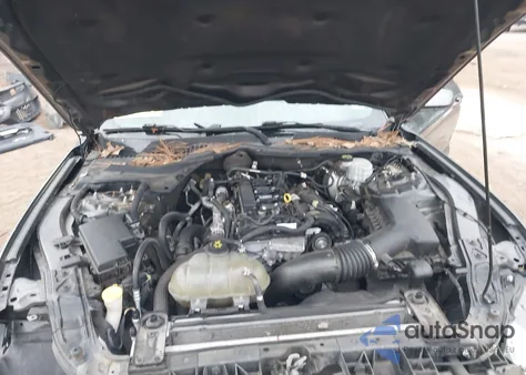 2018 Ford Mustang Ecoboost z USA, uszkodzony, nr VIN 1FA6P8TH6J5114066